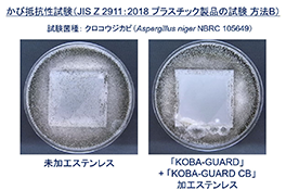 2. 様々な細菌に効果を発揮