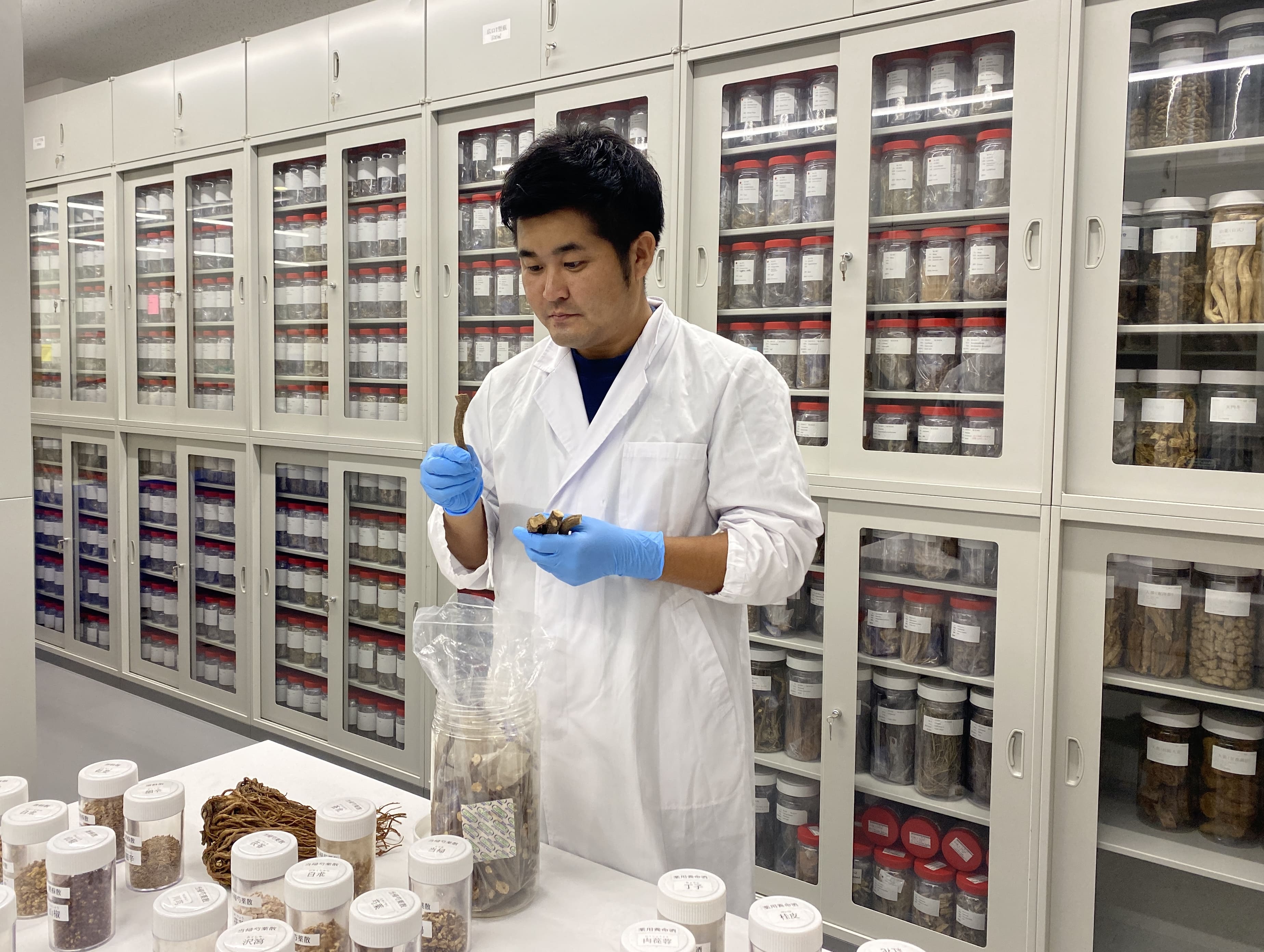 牧野植物園植物研究交流センターの生薬標本倉庫。宮本さんも一気に研究者らしい雰囲気になりました