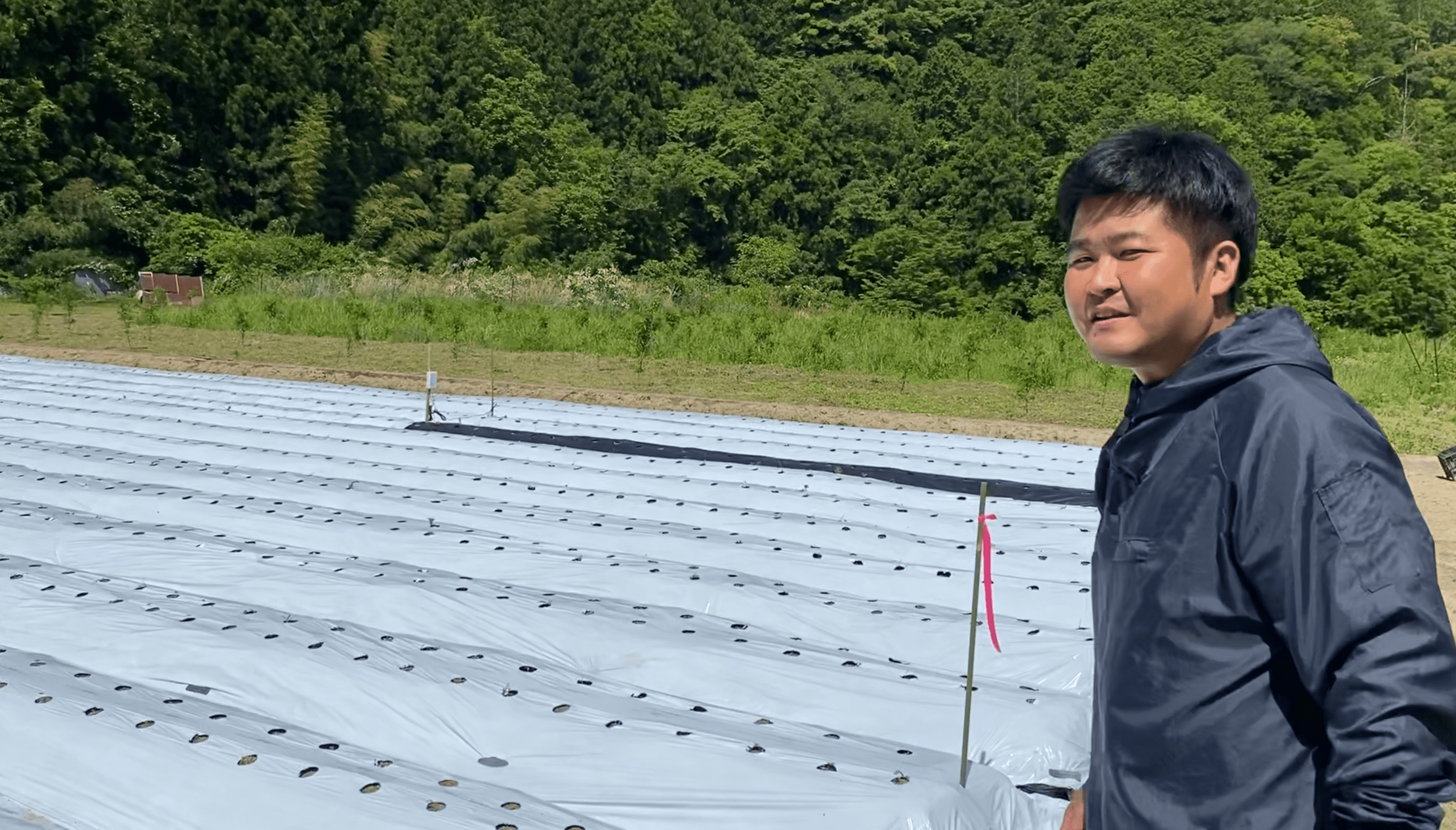 気が遠くなるような地道な日々だ…