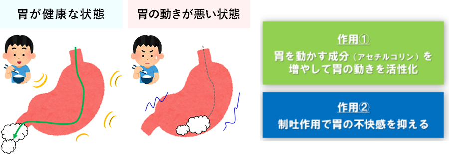 イラクナの作用