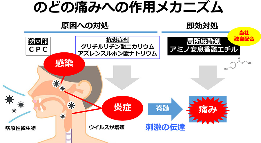 のどの痛みへの作用メカニズム