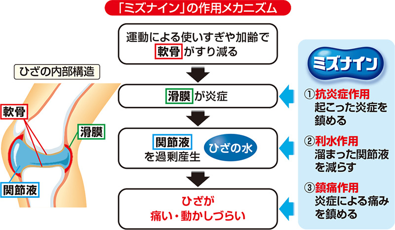 作用メカニズム