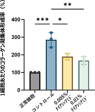 図2：老化細胞における異常コラーゲンの蓄積とナイアシンアミドの異常コラーゲン除去作用