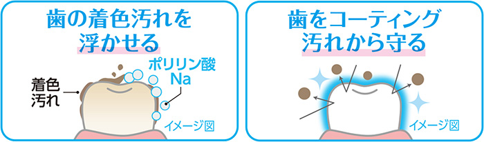 作用イメージ