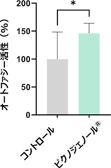 図1A ピクノジェノールのオートファジー活性亢進作用