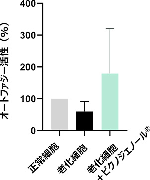 図1B ピクノジェノールのオートファジー活性亢進作用