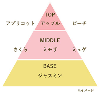 〈香調ピラミッド〉