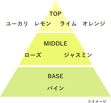 <ナチュラルなグリーンシトラスの香り>