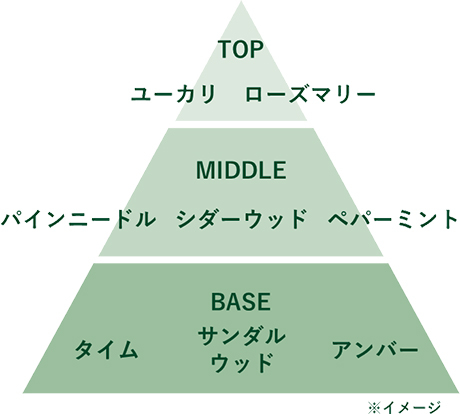 心地よく広がるナチュラルなウッディの香り