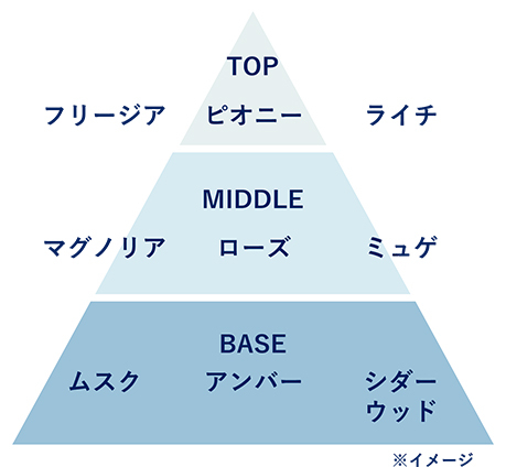 〈香調ピラミッド〉