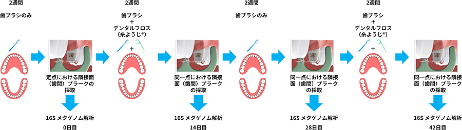 図1：試験方法