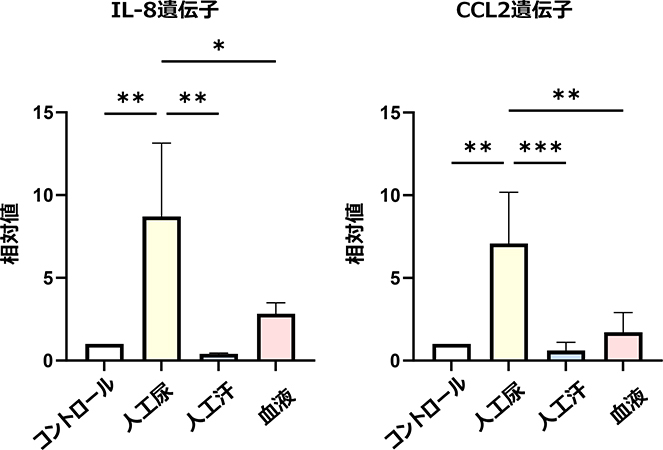 図1. 人工尿による炎症反応の誘導