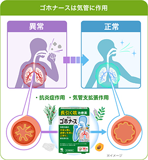 ゴホナースは気管に作用