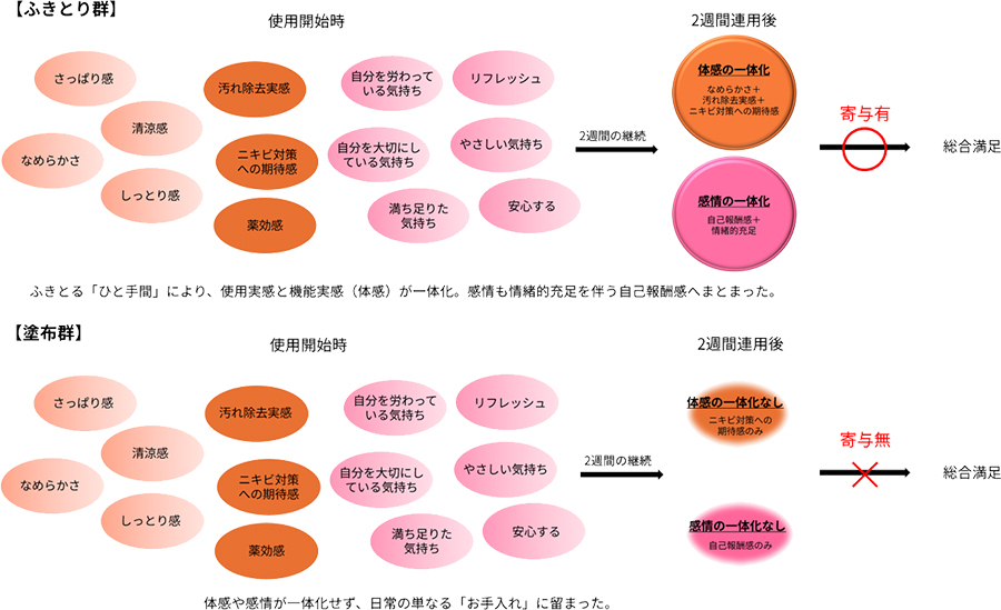 図3：ふきとり群と塗布群の継続に伴う感性価値の変化（イメージ図）