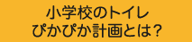 小学校のトイレ ぴかぴか計画とは？