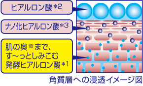 「高密度うるおい処方」で、長時間うるおいキープ