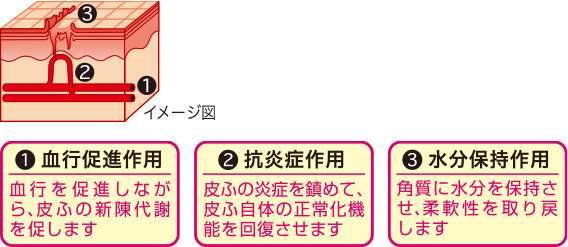 ヘパリン類似物質のはたらき