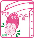 そでのカーブに合わせて(1)を体側に貼る。