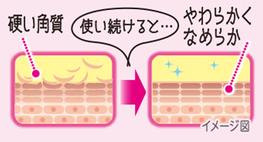 有効成分のはたらき