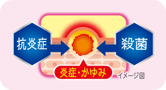 有効成分のはたらき