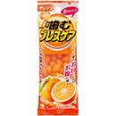 オレンジ味25粒