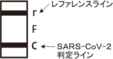 ＳＡＲＳ - ＣｏＶ - ２陽性
