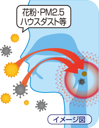 それって、のどのアレルギー症状かも？！