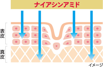 ナイアシンアミド