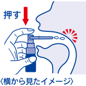 （2）ノズルの位置はそのままで1回2～3噴射を目安に適量を噴射する