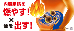 ナイシトール 内臓脂肪を落とす力