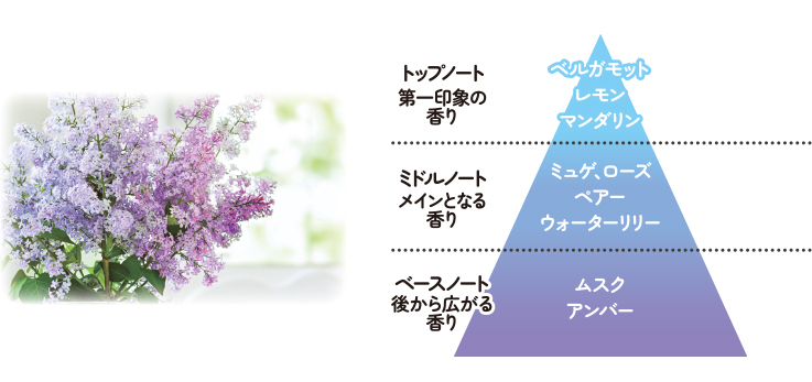アロマティックフローラル