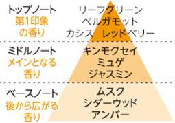 キンモクセイ