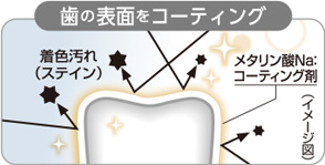 歯の表面をコーティング
