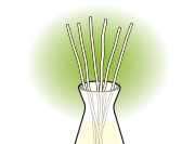 新しいスティックを全体に広がるように差し込む。