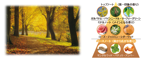 リラクシングウッド