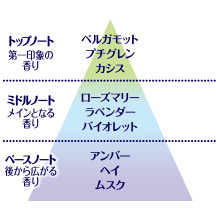おやすみハーブ