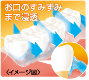 奥地のすみずみまで浸透
