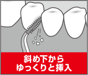 斜め下からゆっくりと挿入