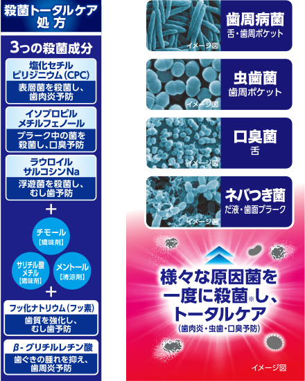 「メディカルミント」は、さっぱり清涼感続くメディカルミントの香り 「マイルドミント」は、優しく清涼感続くマイルドミントの香り