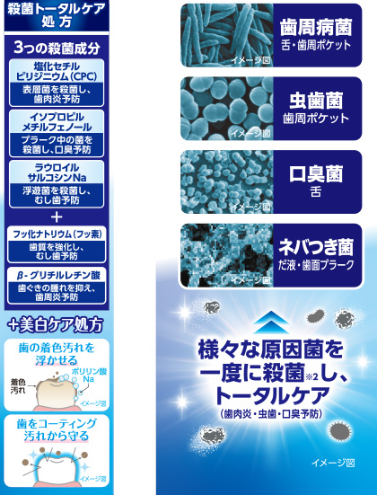 シトラスミントの香り