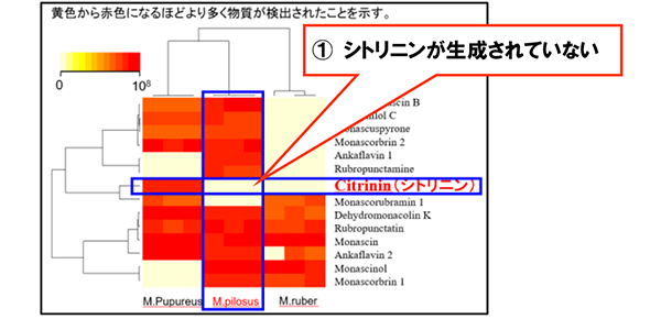 紅麹培養物のヒートマップ